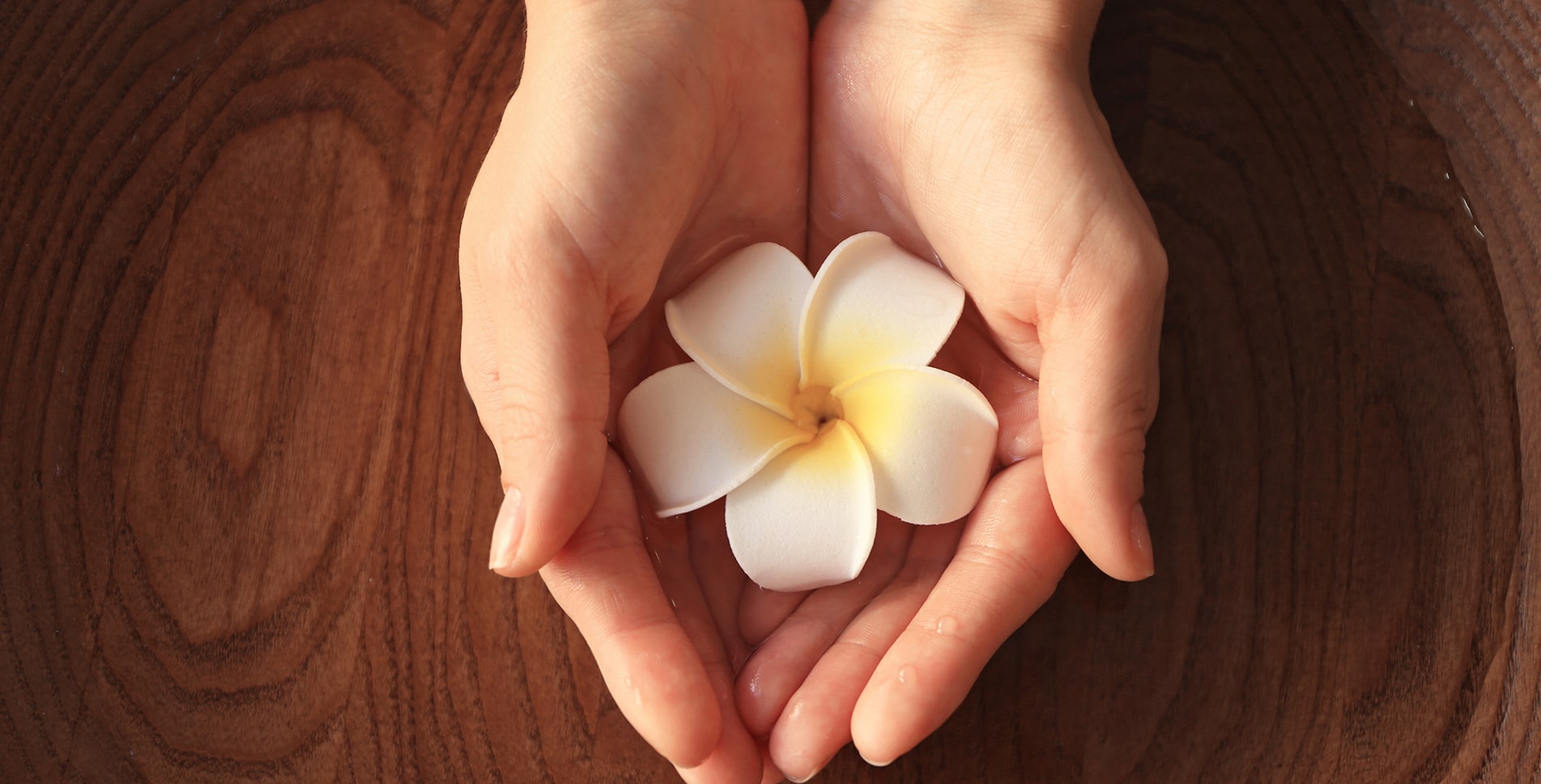 明日朝10時から11月の予約開始いたします！