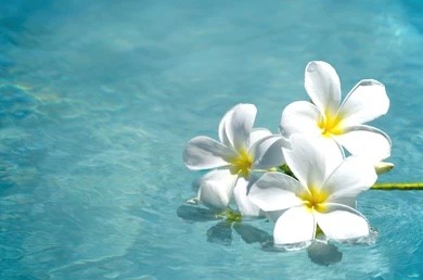 ゴールデンウイークも営業致します