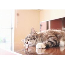 パワーナップ（仮眠）で午後のパフォーマンスup