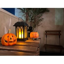 店内の雰囲気【秋】