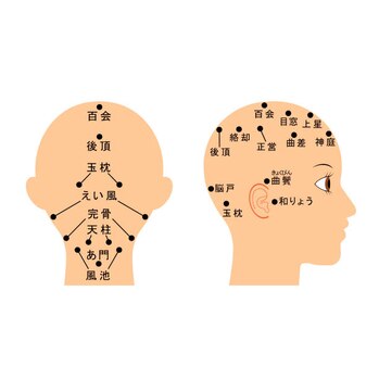脳疲労を和らげるツボ