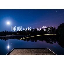 睡眠の6つの役割